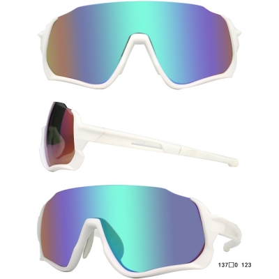 PC Frame Sunglasses