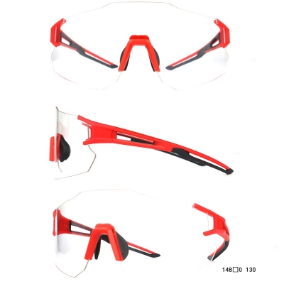 PC Frame Sunglasses