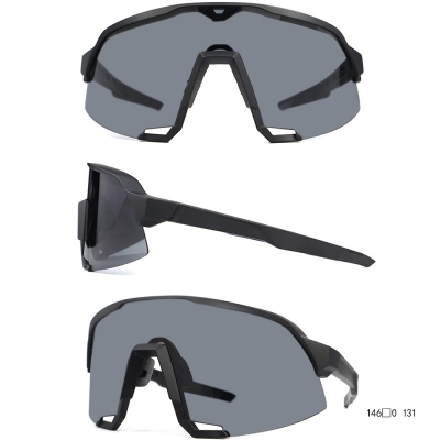 PC Frame Sunglasses