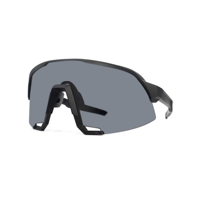 PC Frame Sunglasses