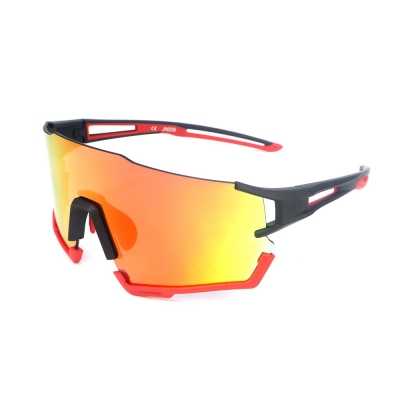 PC Frame Sunglasses