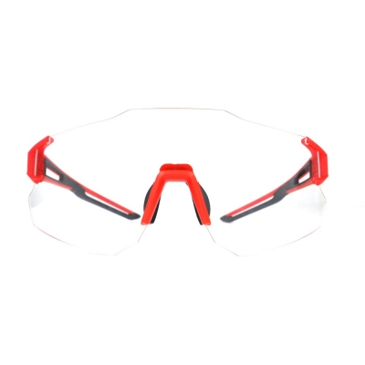 PC Frame Sunglasses