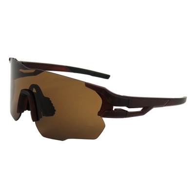 PC Frame Sunglasses
