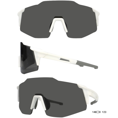 PC Frame Sunglasses