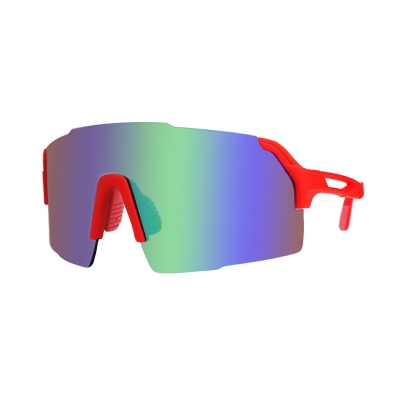 PC Frame Sunglasses