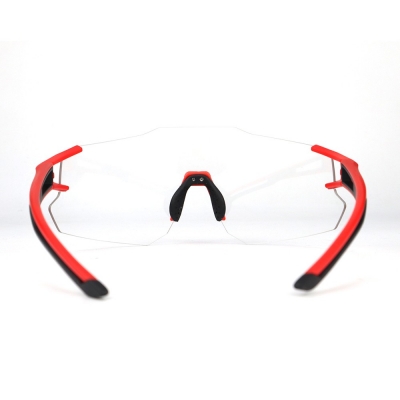PC Frame Sunglasses