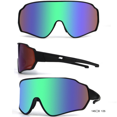 PC Frame Sunglasses