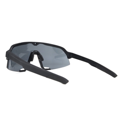 PC Frame Sunglasses