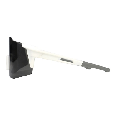 PC Frame Sunglasses