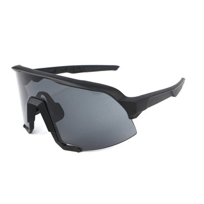 PC Frame Sunglasses
