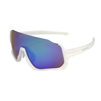 PC Frame Sunglasses