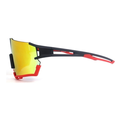 PC Frame Sunglasses