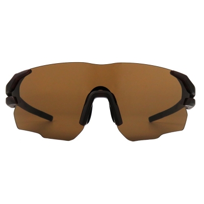 PC Frame Sunglasses