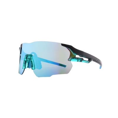 PC Frame Sunglasses