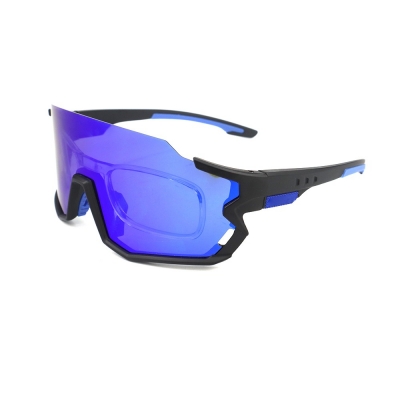 PC Frame Sunglasses