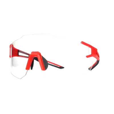 PC Frame Sunglasses