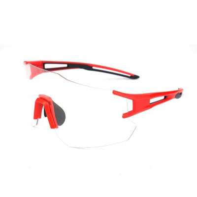 PC Frame Sunglasses