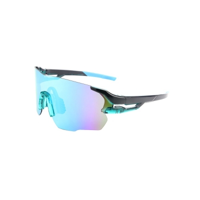 PC Frame Sunglasses