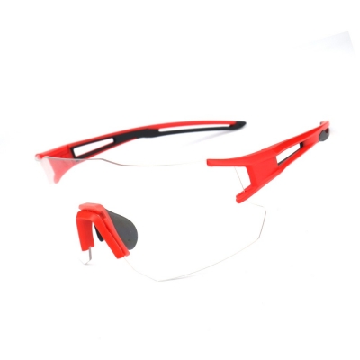PC Frame Sunglasses