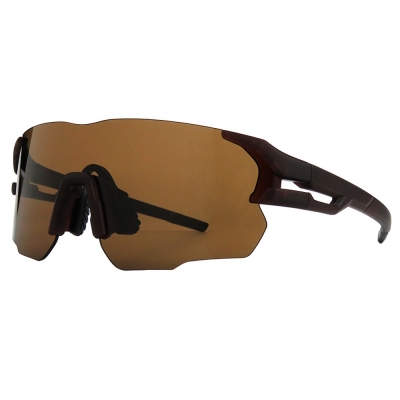 PC Frame Sunglasses