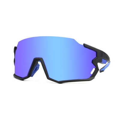 PC Frame Sunglasses