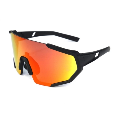 PC Frame Sunglasses