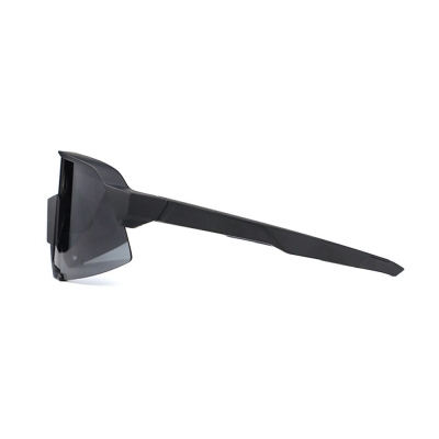 PC Frame Sunglasses