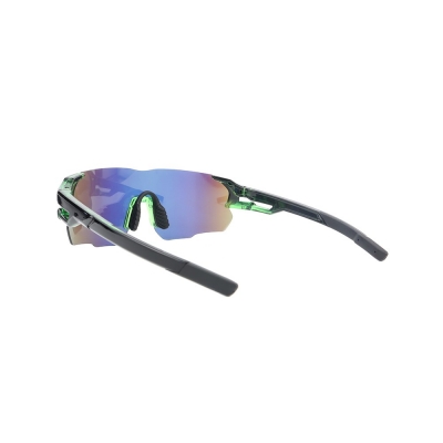 PC Frame Sunglasses
