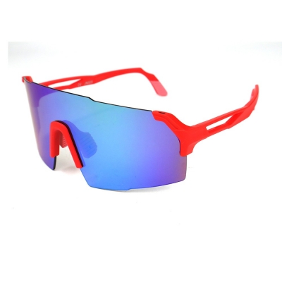 PC Frame Sunglasses