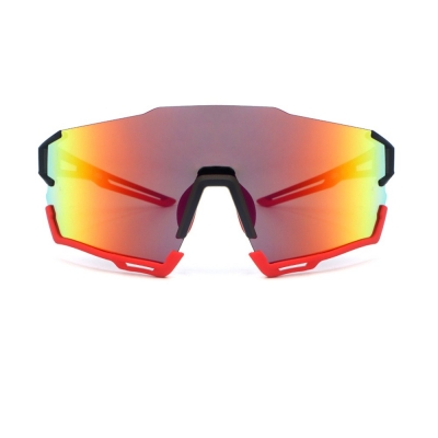 PC Frame Sunglasses