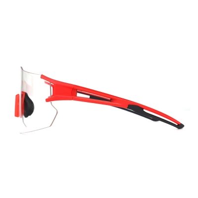 PC Frame Sunglasses