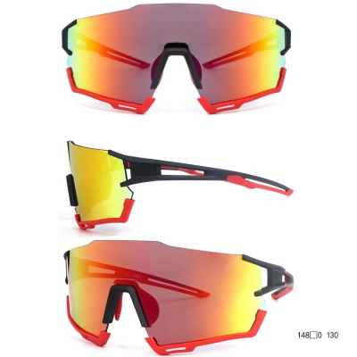 PC Frame Sunglasses