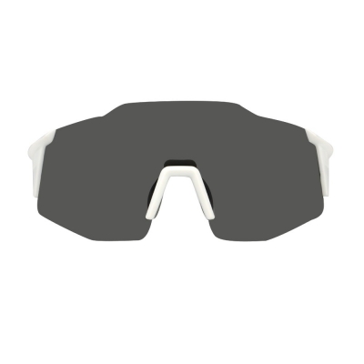 PC Frame Sunglasses