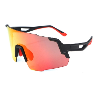 PC Frame Sunglasses