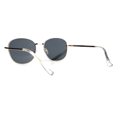 PC Frame Sunglasses