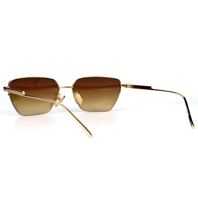 PC Frame Sunglasses