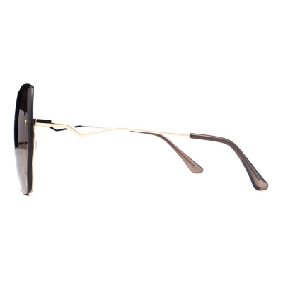 PC Frame Sunglasses