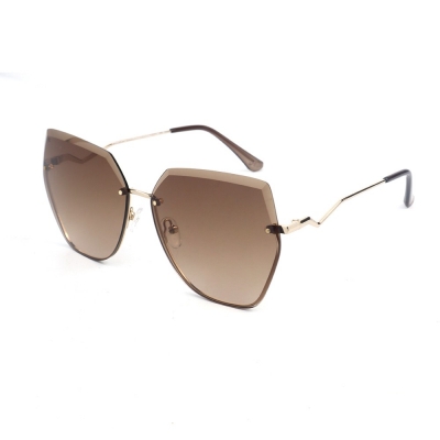 PC Frame Sunglasses