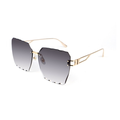 PC Frame Sunglasses