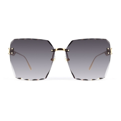 PC Frame Sunglasses