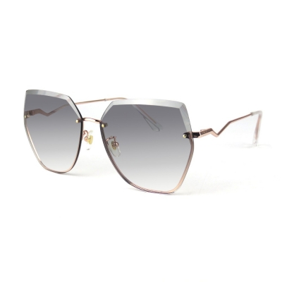 PC Frame Sunglasses