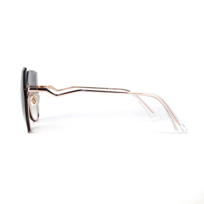 PC Frame Sunglasses