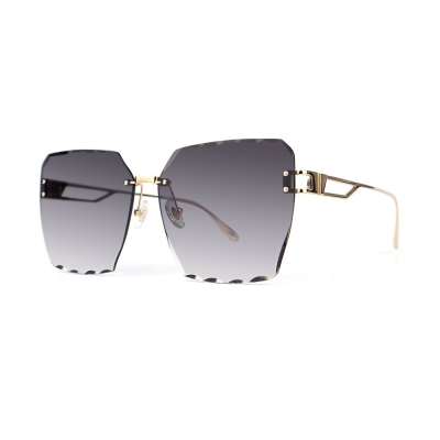 PC Frame Sunglasses