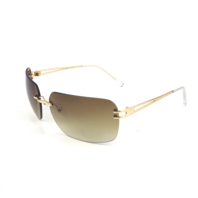 PC Frame Sunglasses