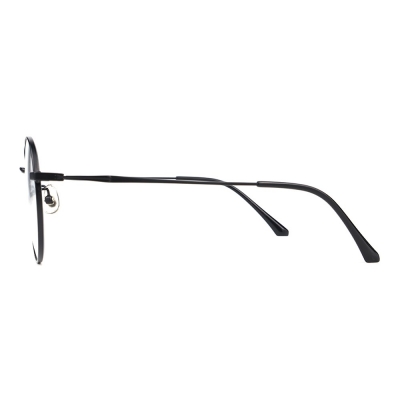 PC Frame Sunglasses