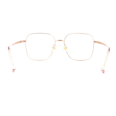 PC Frame Sunglasses