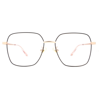 PC Frame Sunglasses