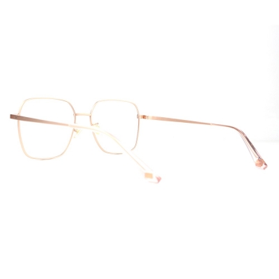 PC Frame Sunglasses