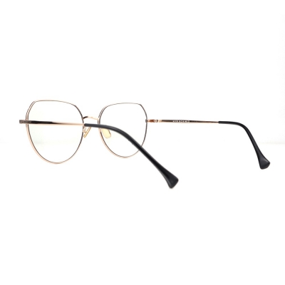 PC Frame Sunglasses