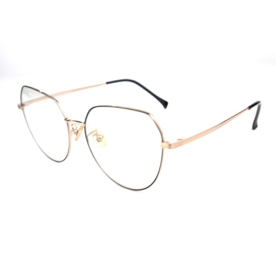 PC Frame Sunglasses